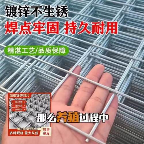 铁丝网加粗特粗加硬钢筋网片钢丝网镀锌铁丝网铁网格网片防锈底笼 - 图2