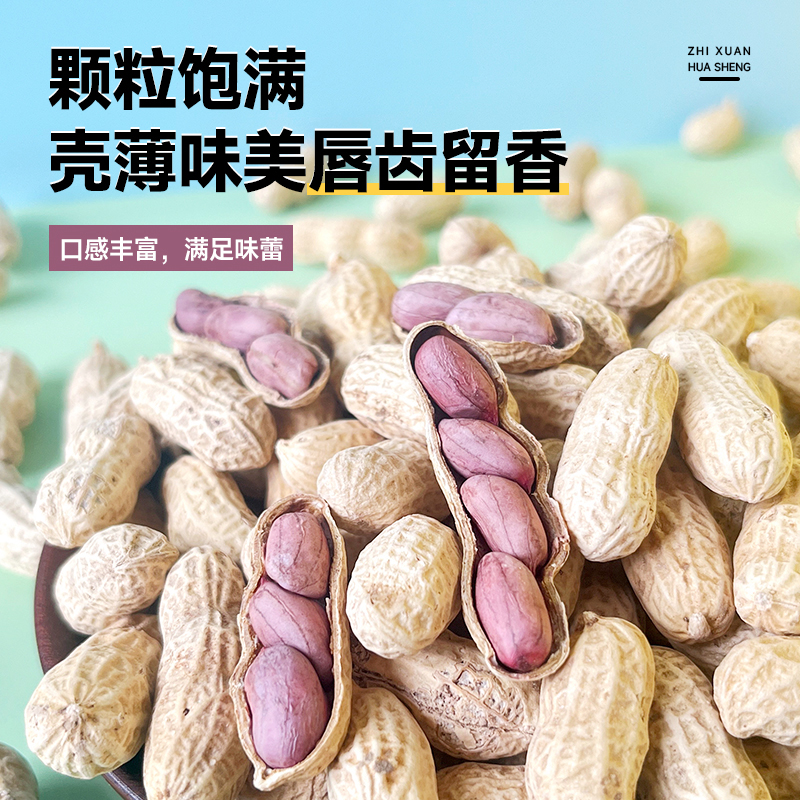 一斤装龙岩湿烤花生农家特产香仁美味咸干带壳熟营地聚会紫衣花生