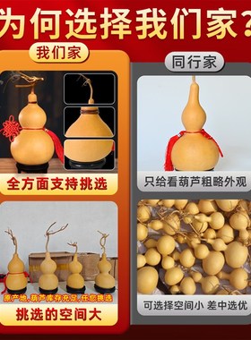 天然葫芦摆件镇宅招财挂件开口木葫芦办公小文玩客厅手把件真葫芦