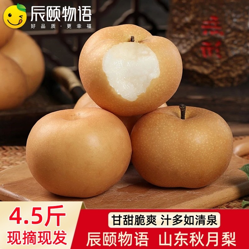 正宗秋月梨子新鲜水果莱西梨黄梨莱阳梨甜山东南水梨 - 图0