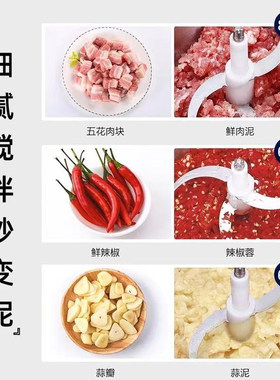 家用电动绞肉机多功能料理机搅拌机搅馅绞馅机蒜蓉泥器辣椒粉碎机