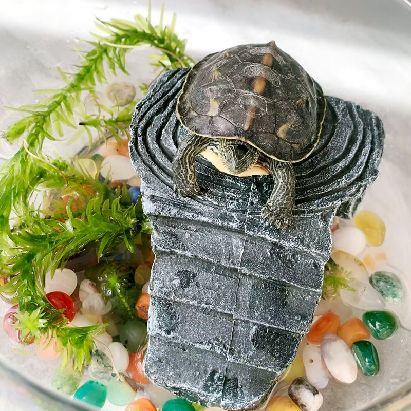 乌龟晒台爬台爬梯爬虫鱼虾躲避爬台爬坡宠物晒背台小乌龟造景晒台,淘宝优惠券,粉丝福利购,淘宝优惠卷