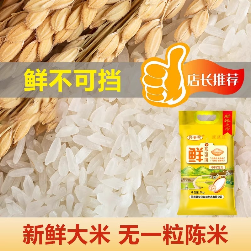 试吃两斤2025新米东北长粒香10斤大米黑龙江中科发五香米大米 - 图0