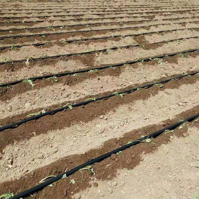 滴灌带微喷带16mm迷宫带滴管滴水带节水带农用大棚膜下管滴灌设备 - 图2