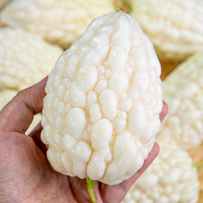 山东特产苹果苦瓜生吃凉瓜现摘新鲜水果白玉苦瓜榨汁农家自种蔬菜,淘宝优惠券,粉丝福利购,淘宝优惠卷