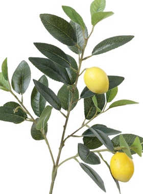 仿真柠檬果枝假绿植清新家居装饰泡沫果子拍照道具插花摆件柠檬枝