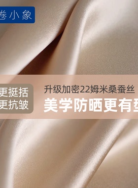 花卷小象100%双层桑蚕丝四季面罩