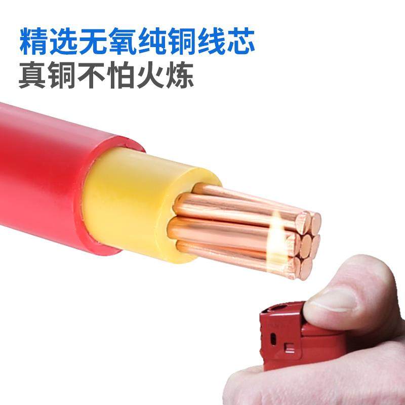 珠江电缆电线国标BVV10/16/25/35/50/70平方双塑铜芯电缆户外工厂 - 图3