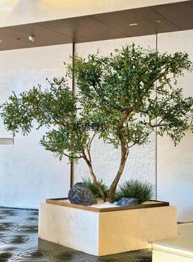 仿真橄榄树人造落地景观客厅别墅园林工程景观道具摆件假橄榄树