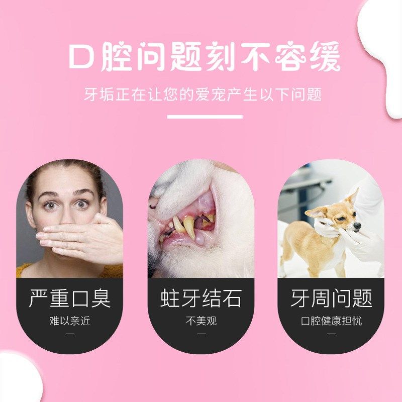 小鹿犬专用狗狗牙刷牙膏套装口臭可食用幼犬小狗牙结石小型犬,淘宝优惠券,粉丝福利购,淘宝优惠卷