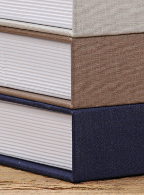 样板房间软装饰品新中式仿真书