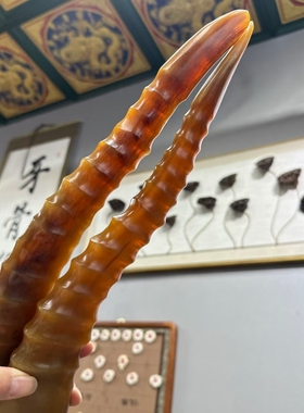 天然羊角整角实心送礼文玩把玩收藏摆放入药送礼高端中药