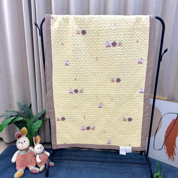 【宿舍垫 飘窗垫 沙发垫】90×200单人床盖水洗棉绗缝磨毛卡通双 - 图1