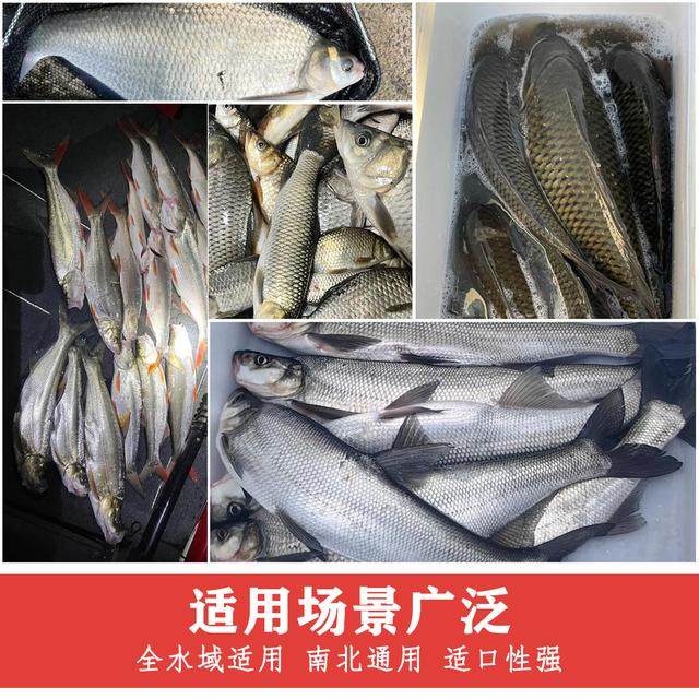 新翘嘴专用打窝颗粒筏钓野河湖库黑坑草鱼青鱼鳊鱼鲤鱼通用饵料王,淘宝优惠券,粉丝福利购,淘宝优惠卷