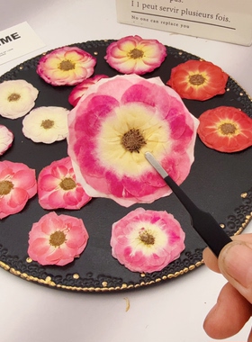 复色小玫瑰押花多色晕边蔷薇压花手工滴胶饰品手机壳压花画素材