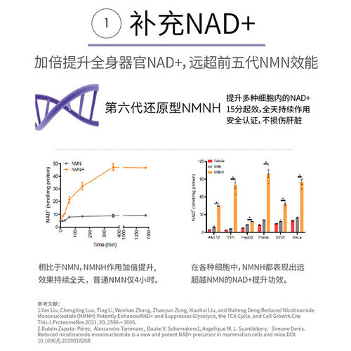 GRANVER吉瑞维高端抗S胶囊 官方正品 第6代NMNH补充NAD+人参皂苷 - 图0