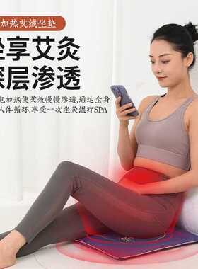电加热艾绒坐垫靠背保暖热敷一体办公室家用控温电热毯艾灸垫艾草
