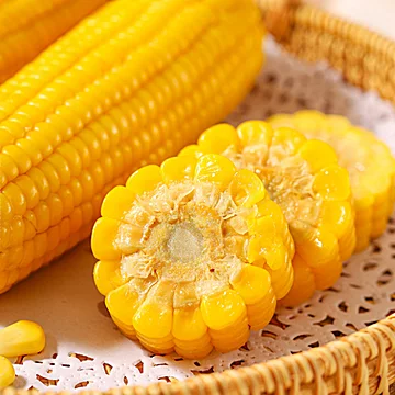 绿色食品！东北白糯玉米300g*12支[14元优惠券]-寻折猪