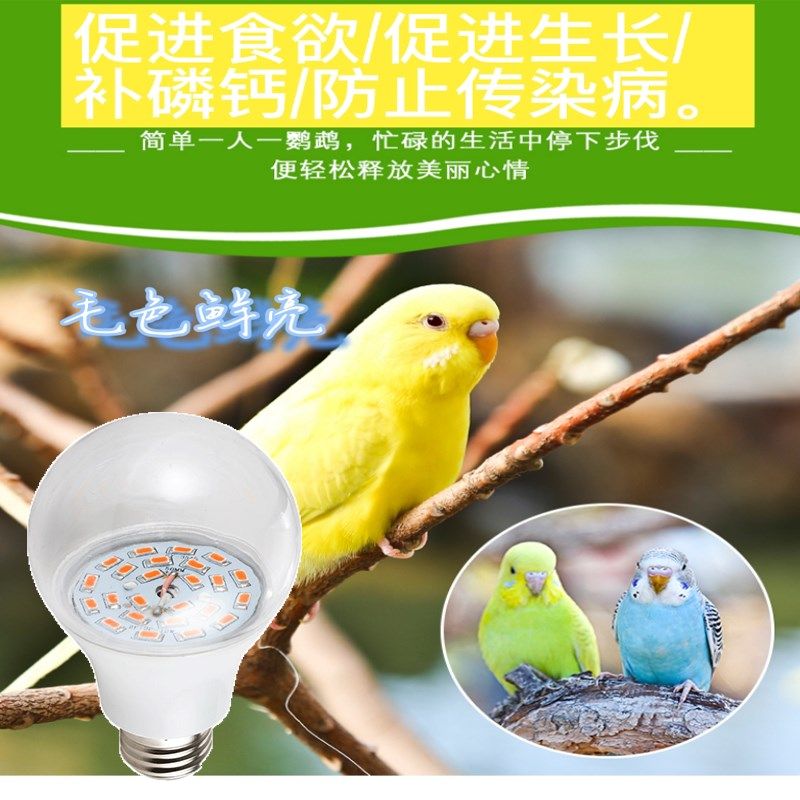 地下室鹦鹉LED宠物太阳光UVB补钙大棚养殖生长补光灯泡乌龟晒背灯,淘宝优惠券,粉丝福利购,淘宝优惠卷