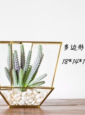JK慕空间复古北欧简洁风格金边玻璃罩书房客厅摆件装饰多边形花房