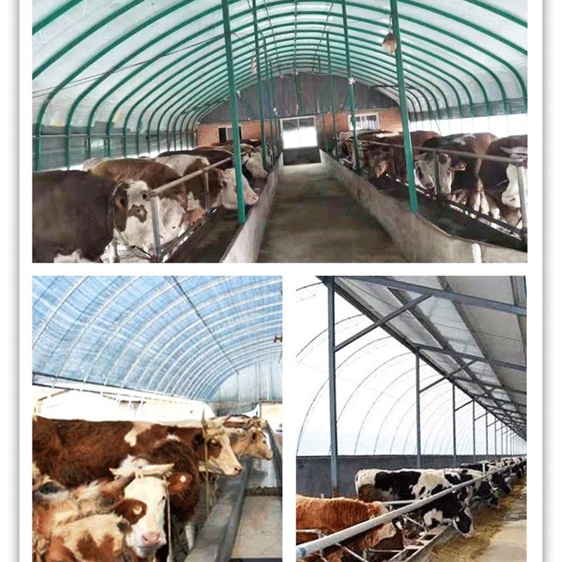 地下室鹦鹉LED宠物太阳光UVB补钙大棚养殖生长补光灯泡乌龟晒背灯,淘宝优惠券,粉丝福利购,淘宝优惠卷