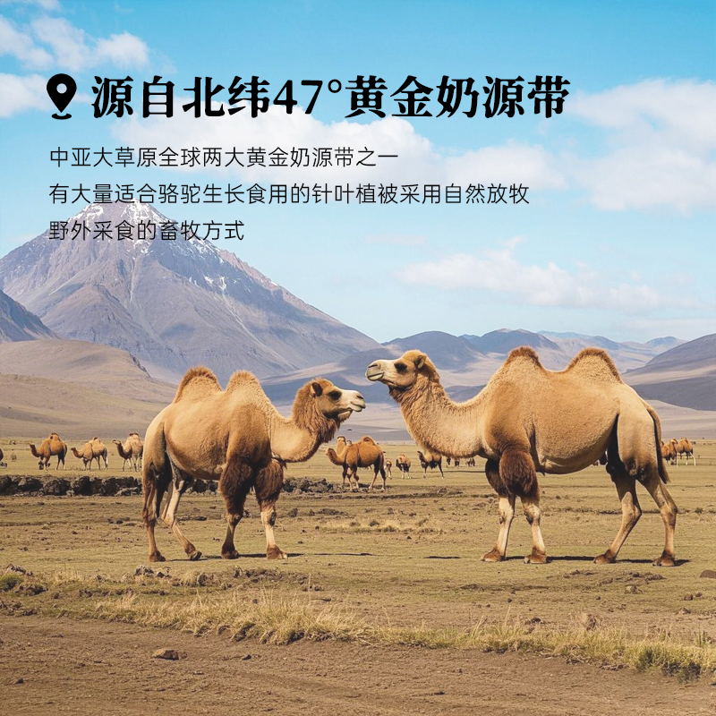 8个月效期牧驼山哈萨克斯坦进口骆驼奶粉全脂纯驼粉中老年成人 - 图0