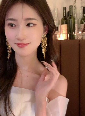 小众设计高级感金属亮片流苏耳环女轻奢时尚百搭2023年新款潮耳饰