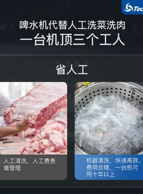 粤天力TD-25小型啤水机解冻机蔬菜肉类排骨清洗机餐饮小店洗工厂