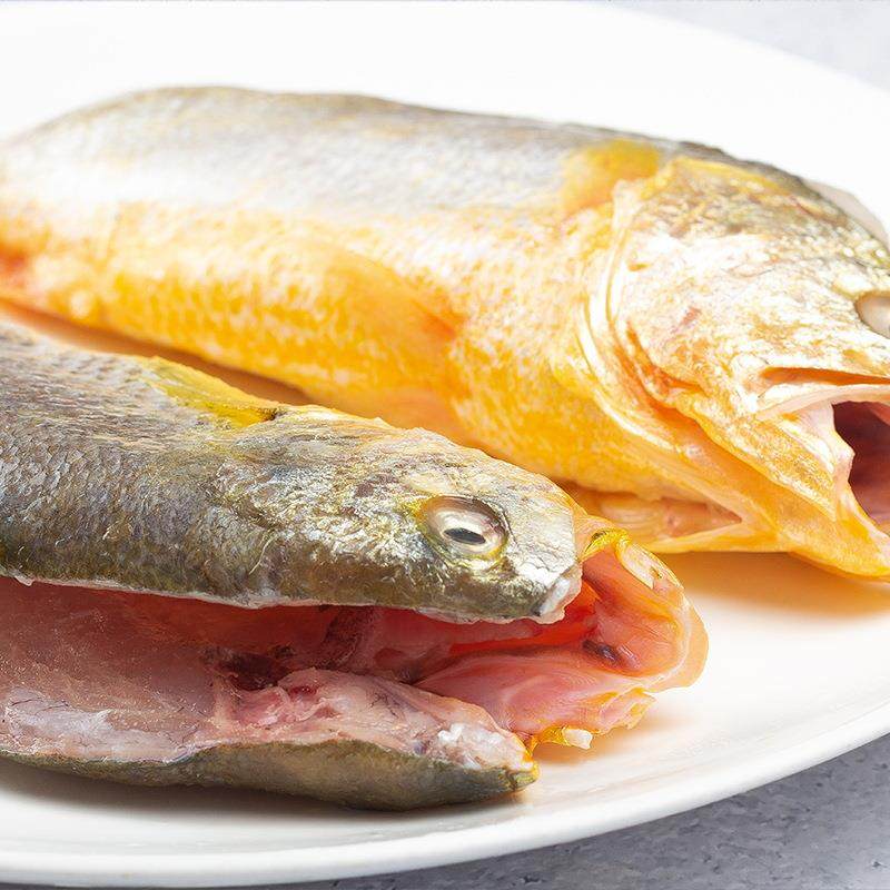 宁德大黄鱼黄鱼鲞开背三去免洗新鲜大黄鱼厂家直供,淘宝优惠券,粉丝福利购,淘宝优惠卷