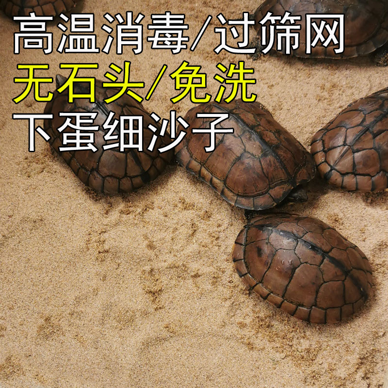 过筛网细腻爬宠物猫便乌龟沙子产蛋沙冬眠孵化砂底缸造景专用无菌,淘宝优惠券,粉丝福利购,淘宝优惠卷