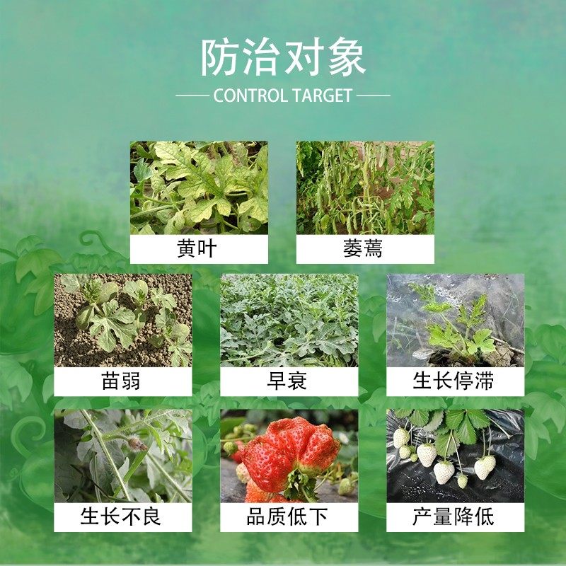 西瓜生根壮苗抗冻套餐强化根系促花抗逆,淘宝优惠券,粉丝福利购,淘宝优惠卷