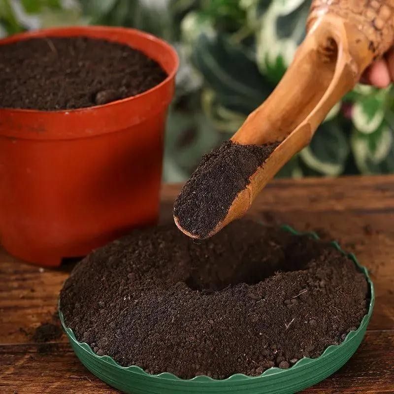 多肉专用土多肉专用营养土养花通用型室内种植土绿植酸性土壤肥料,淘宝优惠券,粉丝福利购,淘宝优惠卷