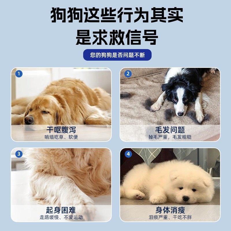 米奇旋风宠物营养补充剂 狗狗猫咪补充维生素均衡营养T1,淘宝优惠券,粉丝福利购,淘宝优惠卷