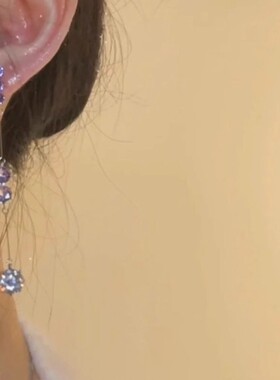 紫色水钻长款流苏气质耳钉女