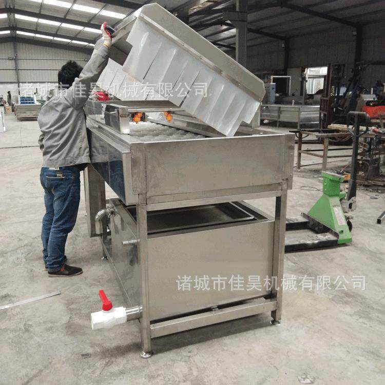 猪蹄清洗机土豆莲藕去皮毛辊清洗机扇贝海鲜毛辊去泥清洗机,淘宝优惠券,粉丝福利购,淘宝优惠卷