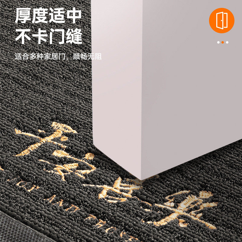 进门地垫入户门垫2025脚垫防滑吸水耐脏家用门口新款乔迁玄关地毯,淘宝优惠券,粉丝福利购,淘宝优惠卷