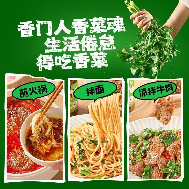 香菜酱下饭酱开胃新鲜香菜酱瓶装拌饭拌面香菜酱即食香菜酱开胃 - 图3