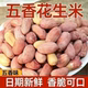 Shandong peanuts, crispy, five-spice, milk, garlic, snacks, snacks, snacks, nuts, roasted seeds and nuts