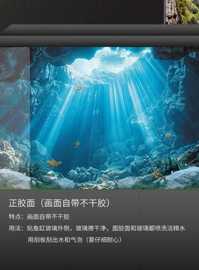 3d高清阳光海底鱼缸背景贴纸5d定制装饰壁纸水族箱不透光正面粘贴