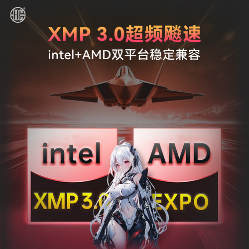 HC汉存内存条ddr5电脑16g套条C28 台式32gb 64g 128g 6000 海力士 - 图2