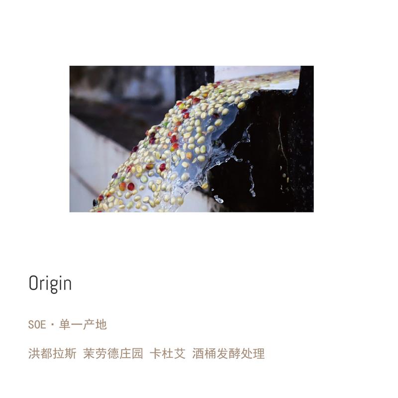 正宗lio islet恋爱的犀牛洪都拉斯SOE香草奶油酒香美式拿铁意 - 图0