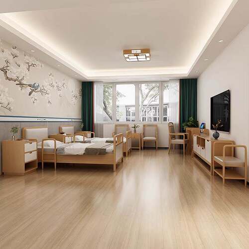 养老院适老化敬老院单人护理床手动双摇床福利院定制现代康养家具 - 图0