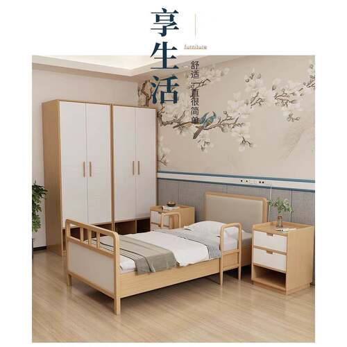 养老院适老化敬老院单人护理床手动双摇床福利院定制现代康养家具 - 图1