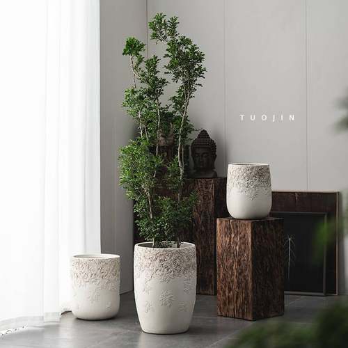 垂丝茉莉发财树琴叶榕小众高级侘寂风落地大花盆高款客厅庭院阳台 - 图2