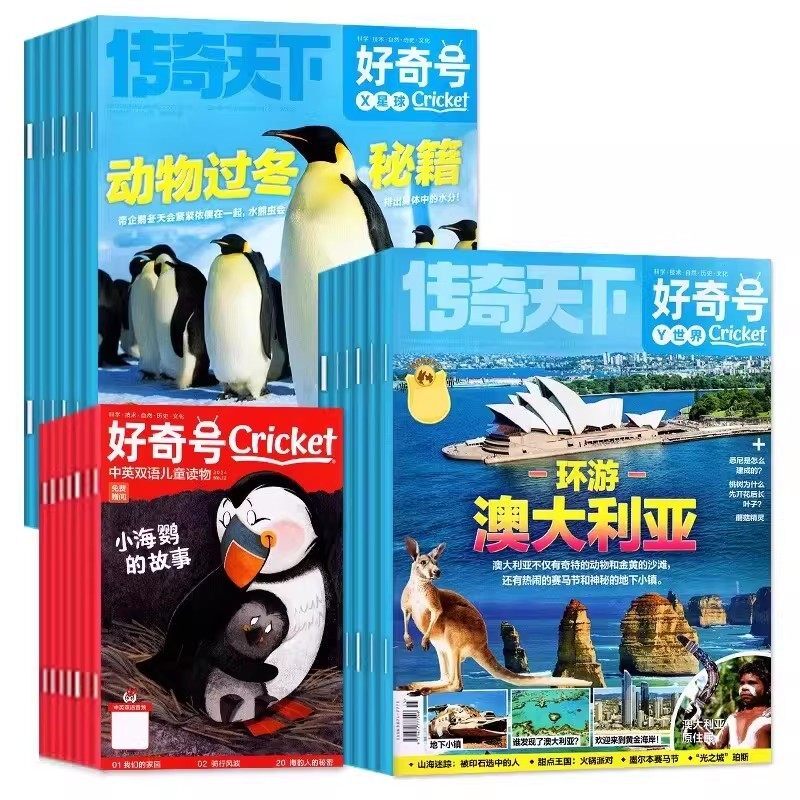 藏起来的小秘密立体翻翻书儿童3d立体书早教情景认知体验益智启蒙立体书全套8册 3到6-9岁幼儿故事书1一3宝宝撕不烂翻翻书婴儿早教