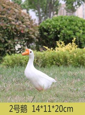 林真羽毛仿真鹅大白鹅鸡鸭鹅动物模庭型家禽56078标本院园摆件拍
