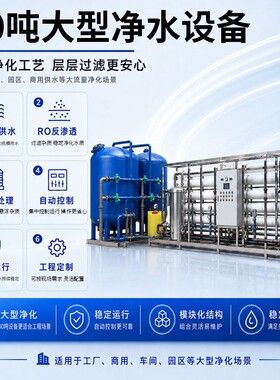 10吨大型工业RO反渗透纯水机30吨水处理超滤工业净水器桶装水设备
