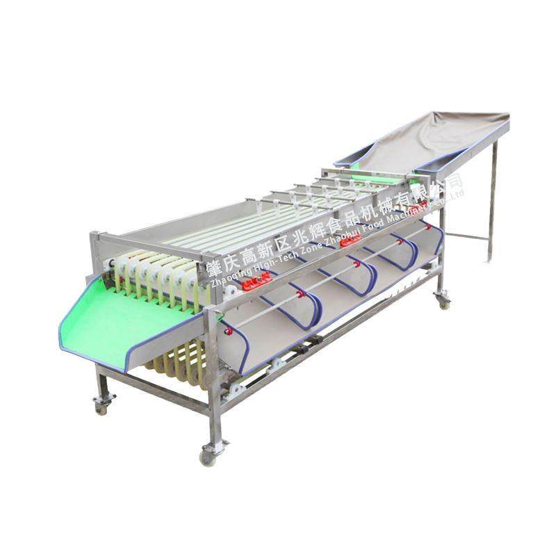 源头厂家圣女果轨道式分选机西红柿百香果大小分选等级软包不伤果,淘宝优惠券,粉丝福利购,淘宝优惠卷