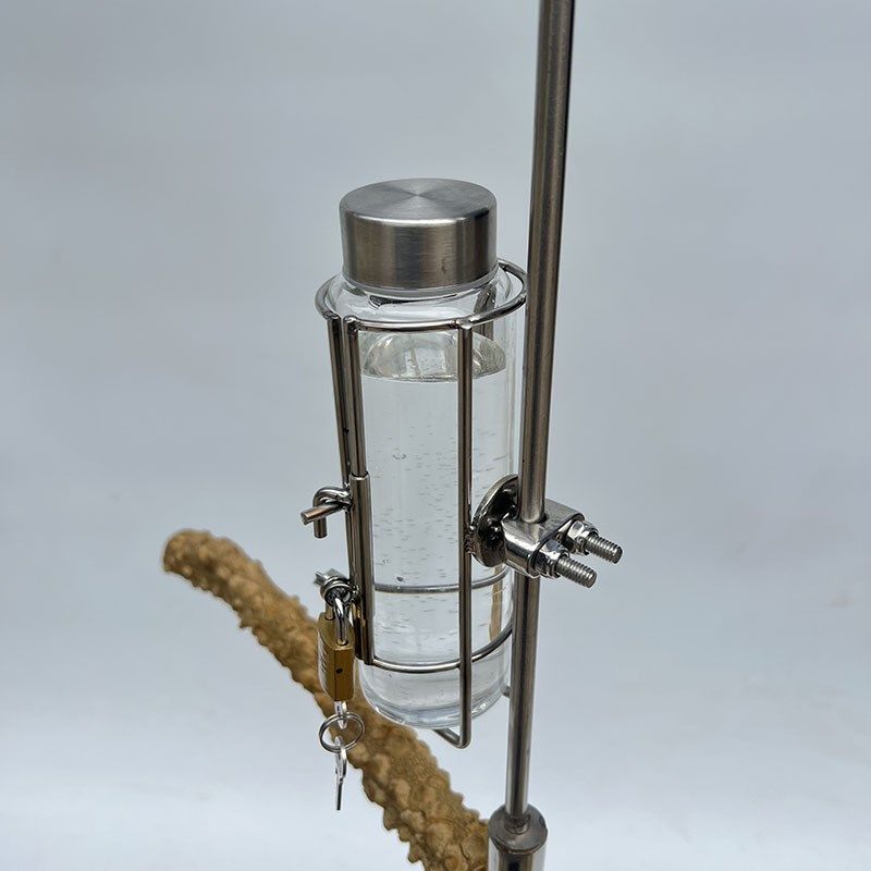 鹦鹉站架水壶 防叼水壶 撞针式 高硼硅玻璃水壶 宠物鸟鹦鹉饮水器,淘宝优惠券,粉丝福利购,淘宝优惠卷