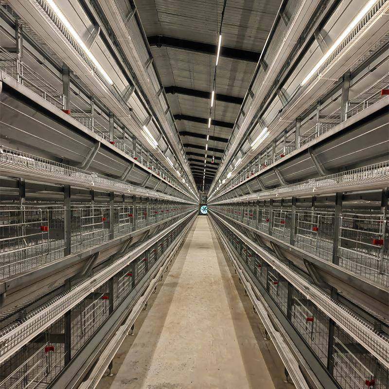 大层叠蛋鸡设备养殖笼养鸡全自动化鸡笼安装热镀锌肉鸡笼推荐,淘宝优惠券,粉丝福利购,淘宝优惠卷
